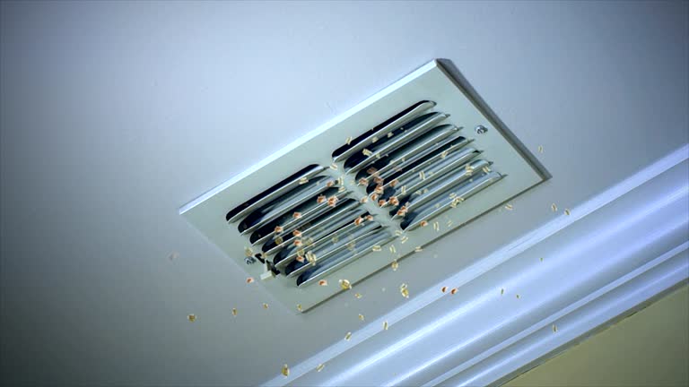 Best Air Duct Cleaning Company Near Me  in Happy Valley, OR